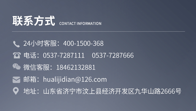 華力-箱式發(fā)電機(jī)組 \