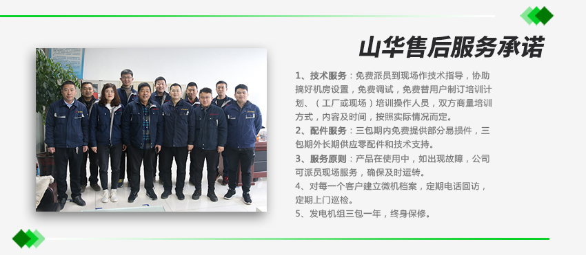 燃?xì)獍l(fā)電機(jī)組宣傳圖 \